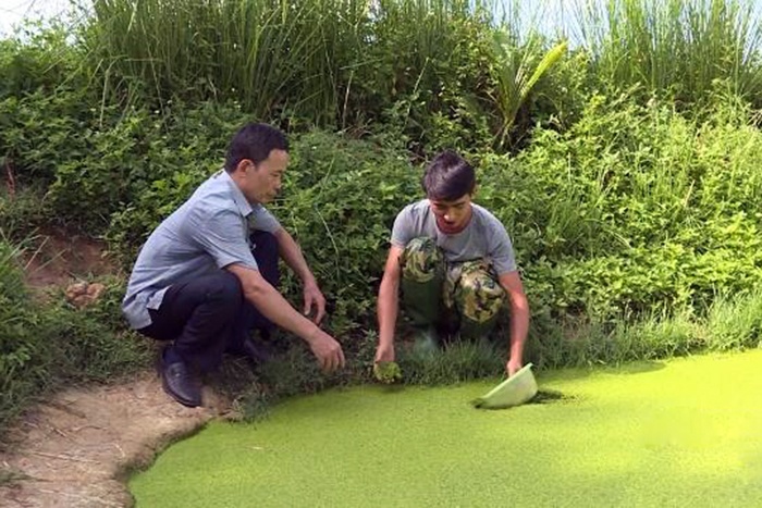 Sau 8 năm lập nghiệp bằng việc phát triển các con giống thủy sản đồng quê, anh Nguyễn Văn Toàn, ở xã Quảng Long, huyện Quảng Xương đã biến vùng đất cồn bãi, hoang hóa thành trang trại có lợi nhuận vài trăm triệu đồng mỗi năm.